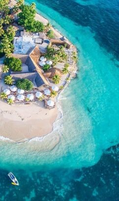 {{brizy_dc_image_alt imageSrc=